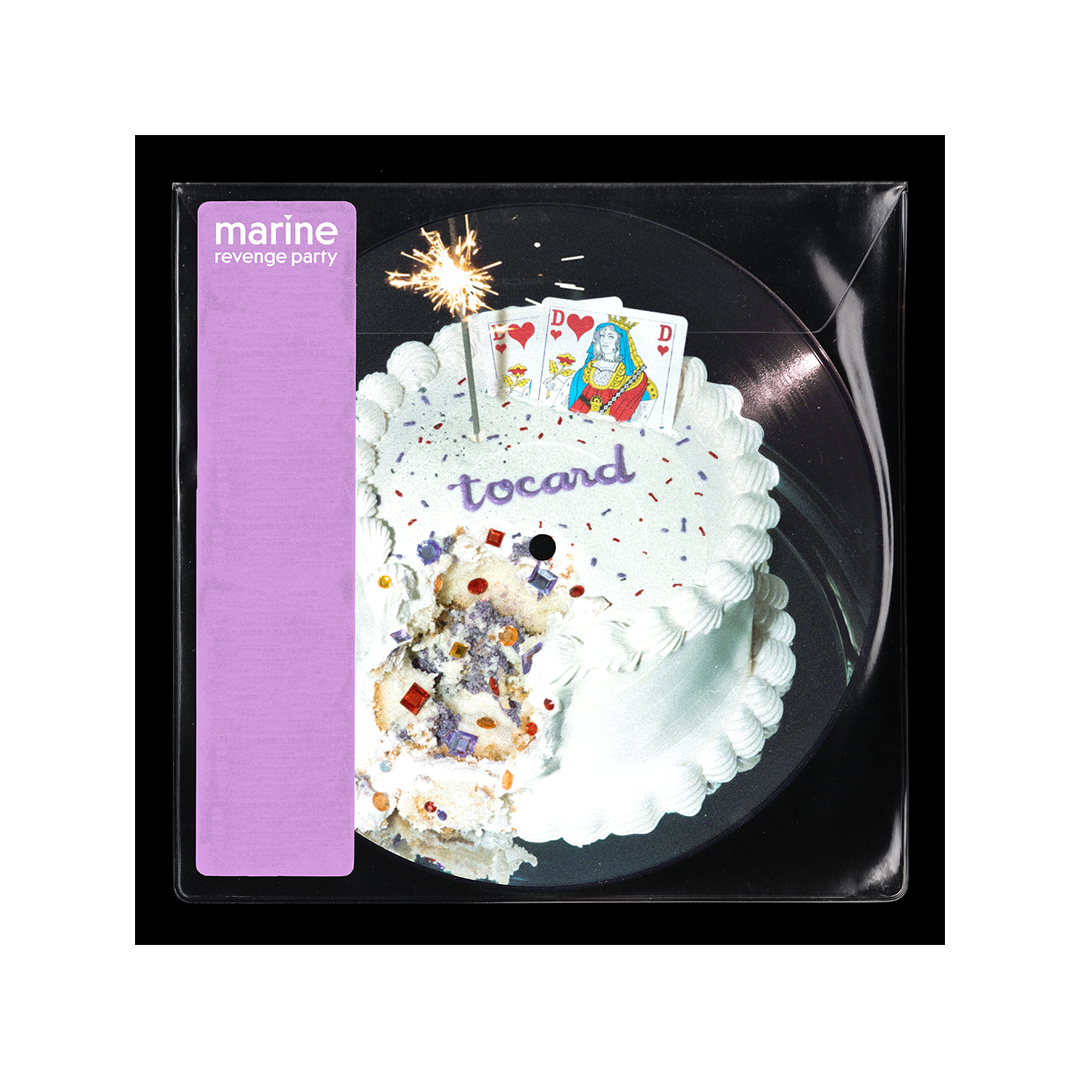 Picture disc REVENGE PARTY Édition limitée